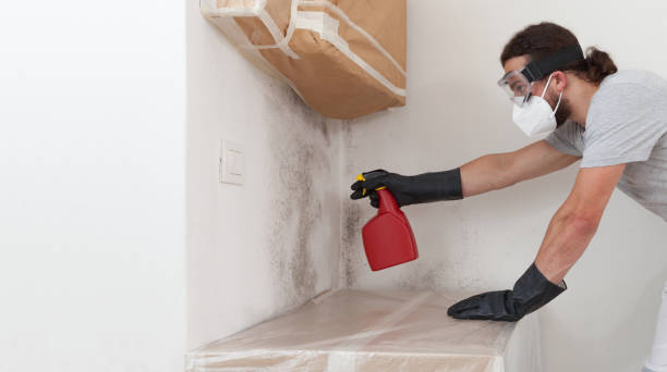 Professional Crawl Space Mold Removal technician working in Highland, IL