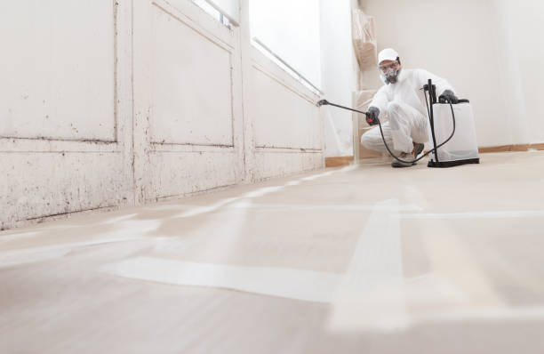 24/7 Emergency Crawl Space Mold Removal experts in Highland, IL