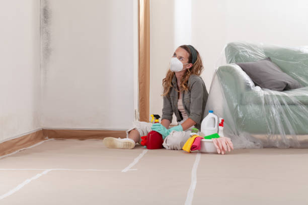 Reliable Crawl Space Mold Removal contractor in Highland, IL by WQB Mold Removal